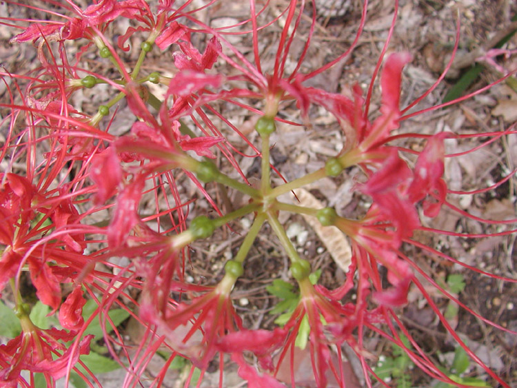 P9230079