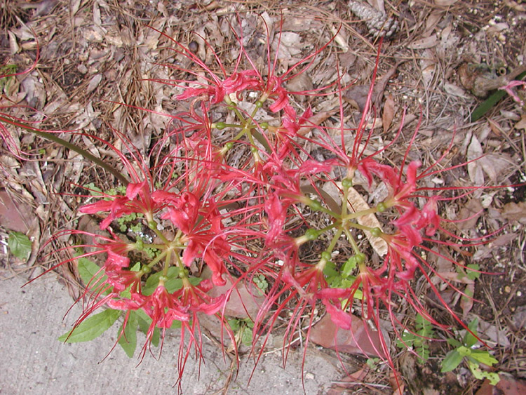 P9230080