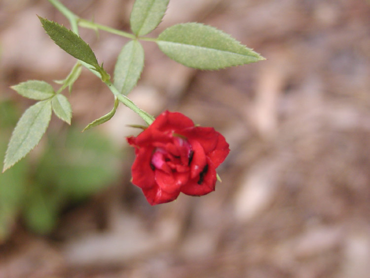 P9230081