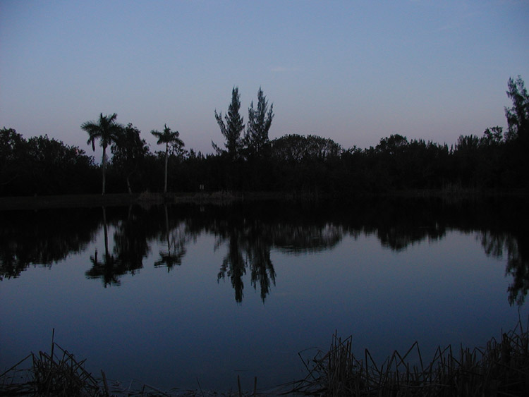 P4050265