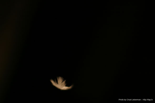 Photo by Chad Lieberman IMG_1750