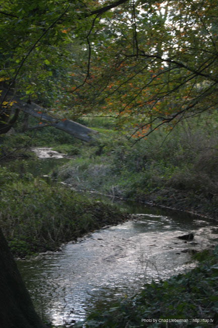 Photo by Chad Lieberman IMG_1931