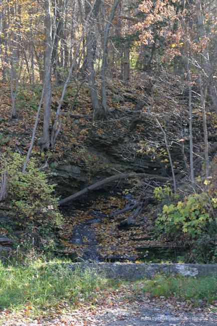 Photo by Chad Lieberman IMG_3146
