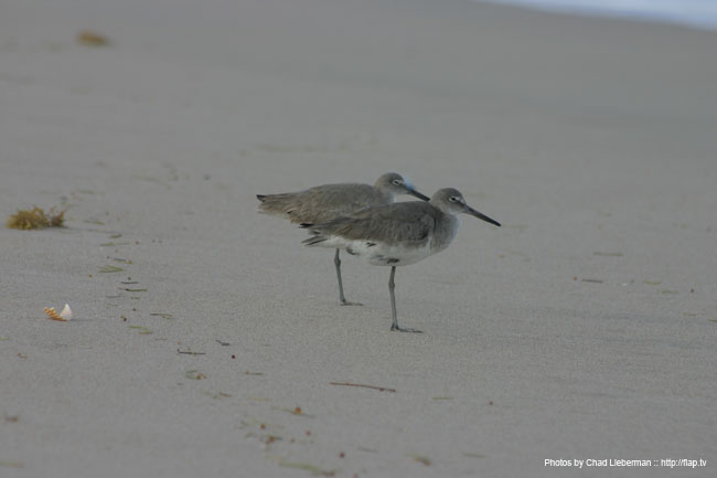 Photo by Chad Lieberman IMG_5036
