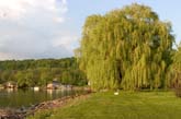 Photo by Chad Lieberman :: CRW_8849