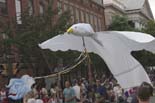 Photo by Chad Lieberman :: CRW_9323