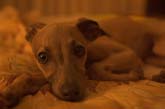 Photo by Chad Lieberman :: CRW_6111