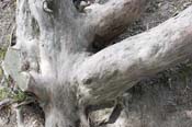 Photos by Chad Lieberman :: CRW_1865