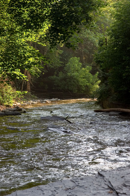 Photograph by Chad Lieberman CRW_4187
