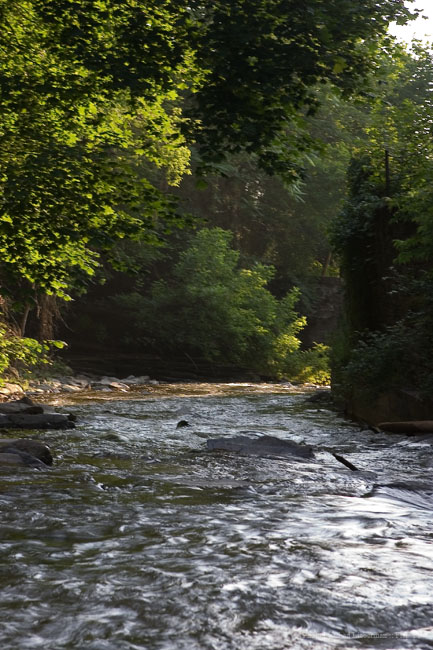 Photograph by Chad Lieberman CRW_4190