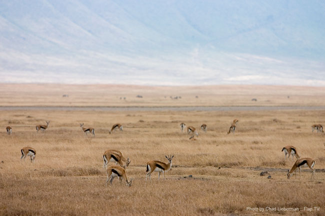 Photograph by Chad Lieberman CRW_5940