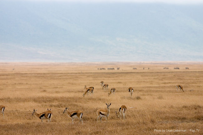 Photograph by Chad Lieberman CRW_5942