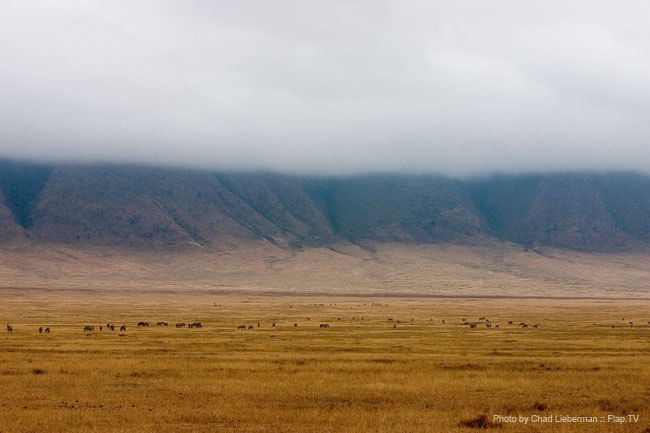 Photograph by Chad Lieberman CRW_5949