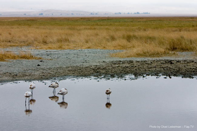 Photograph by Chad Lieberman CRW_5958
