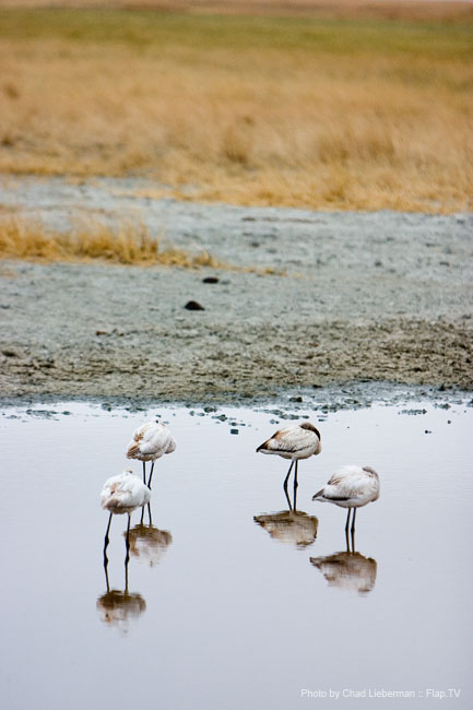 Photograph by Chad Lieberman CRW_5961