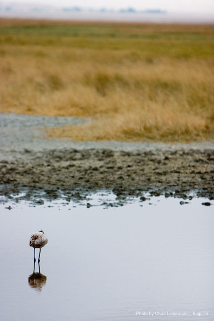 Photograph by Chad Lieberman CRW_5962