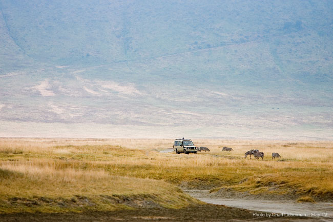 Photograph by Chad Lieberman CRW_5964