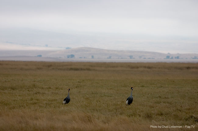 Photograph by Chad Lieberman CRW_5966