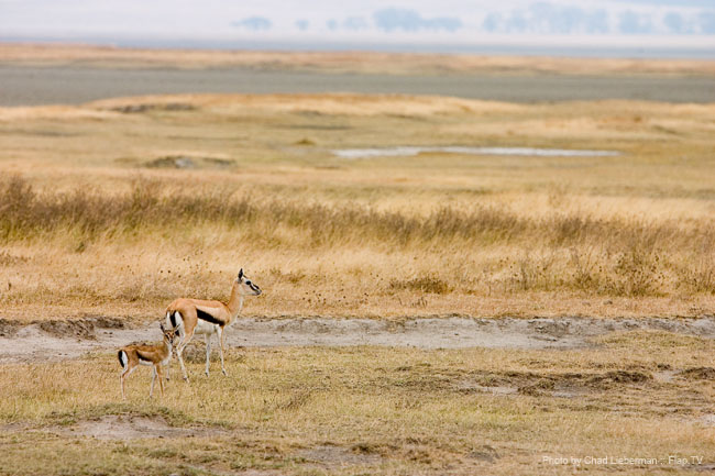 Photograph by Chad Lieberman CRW_6041