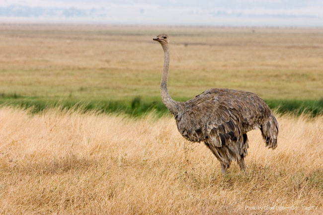 Photograph by Chad Lieberman CRW_6138