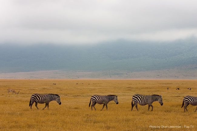Photograph by Chad Lieberman CRW_6274