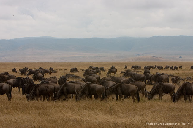 Photograph by Chad Lieberman CRW_6292