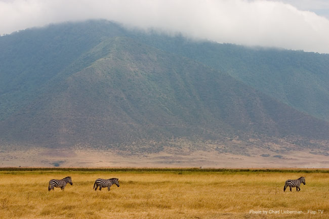 Photograph by Chad Lieberman CRW_6339