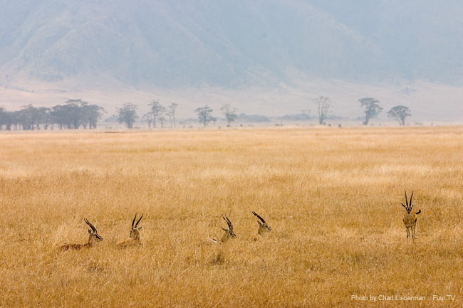 Photograph by Chad Lieberman CRW_6352