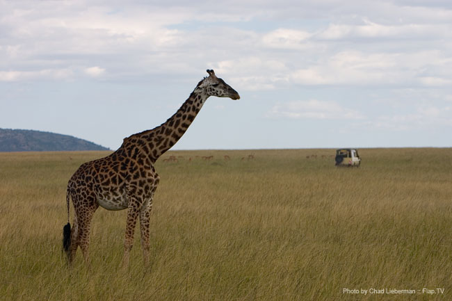 Photograph by Chad Lieberman CRW_8335
