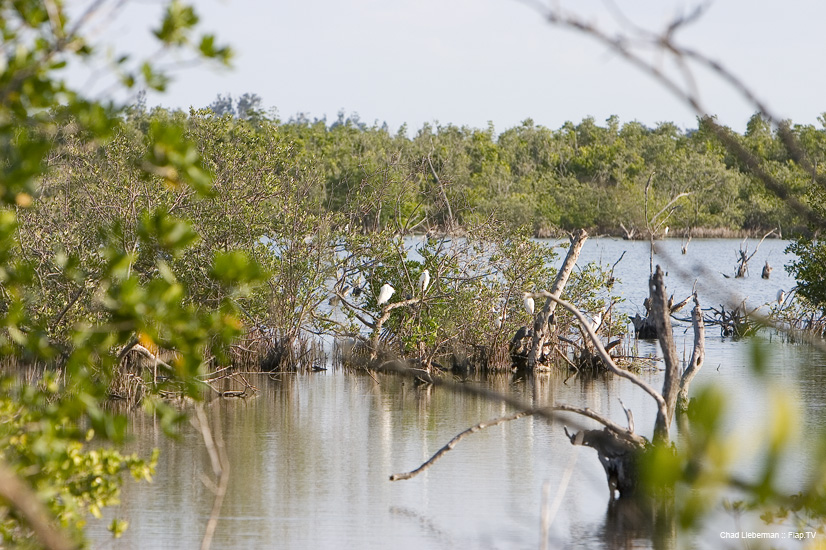 Photograph by Chad Lieberman CRW_2232