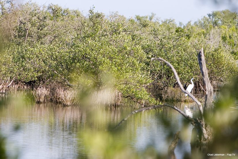 Photograph by Chad Lieberman CRW_2236