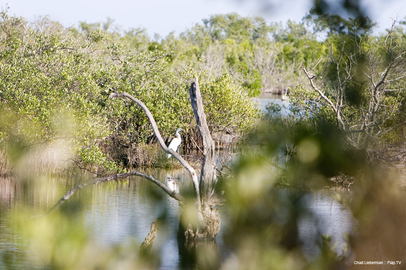 Photograph by Chad Lieberman CRW_2237