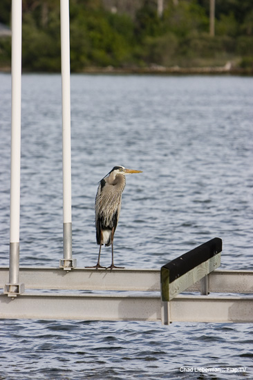 Photograph by Chad Lieberman CRW_2390