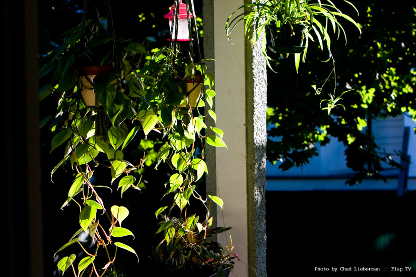 Photograph by Chad Lieberman CRW_2009