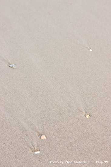 Photograph by Chad Lieberman CRW_2190