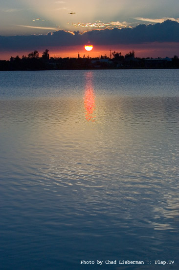 Photograph by Chad Lieberman CRW_2873