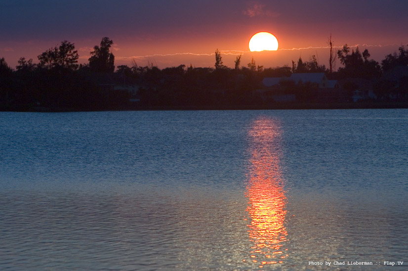 Photograph by Chad Lieberman CRW_2883