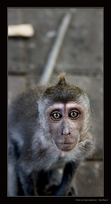 Photo by Chad Lieberman CRW_1115